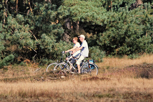 Wildfietstocht Otterlo