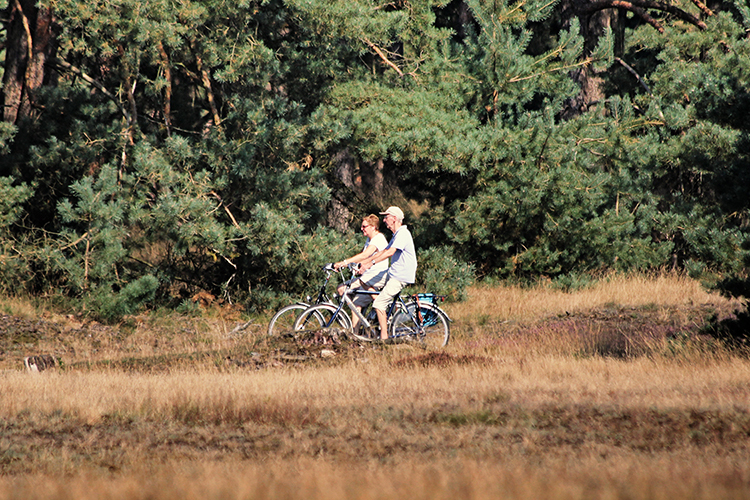 Wildfietstocht Otterlo