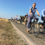 Fietsen door de Veluwe