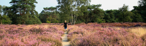 Truida wandelend heide