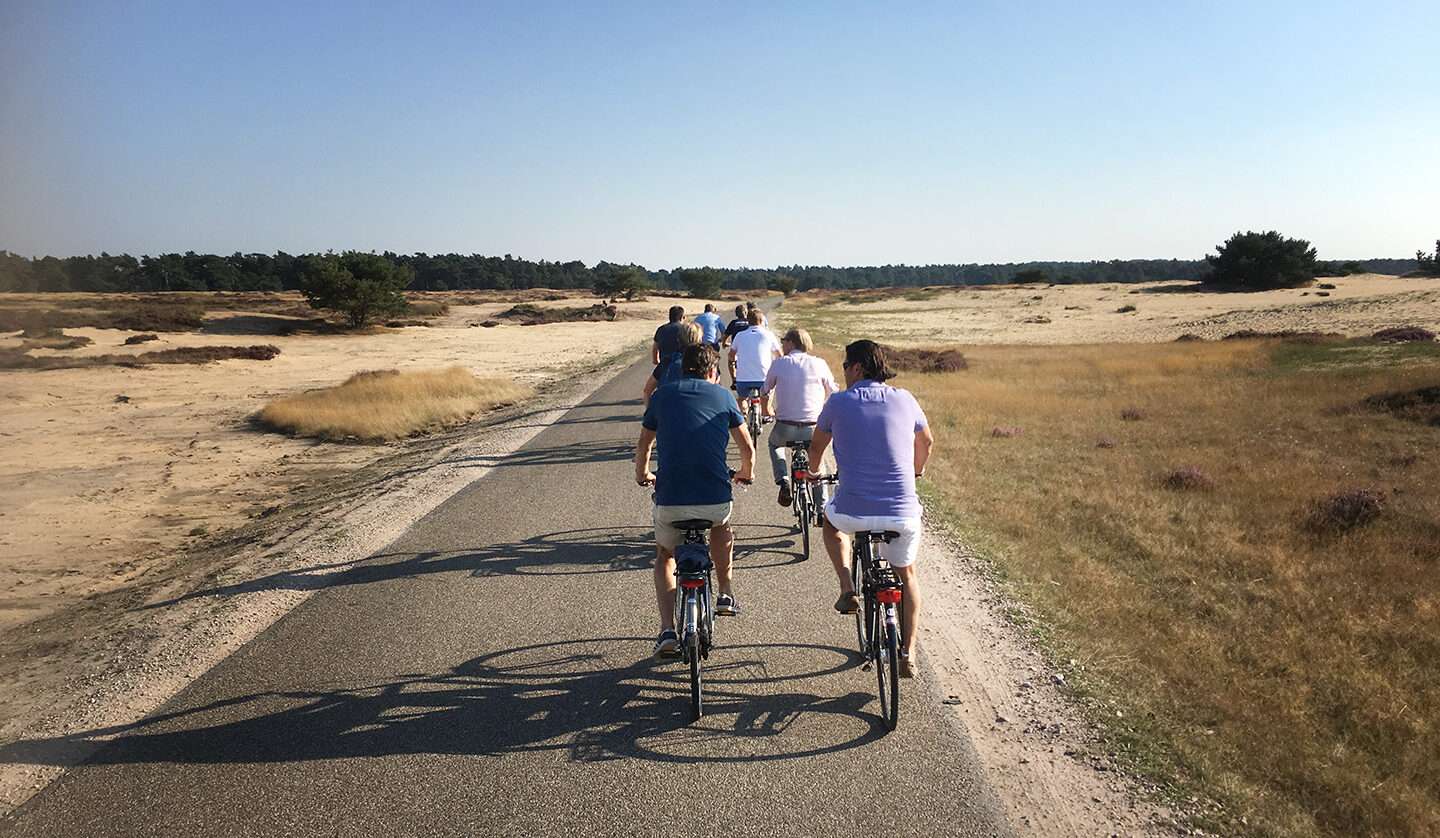 fietsen veluwe